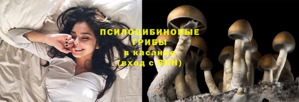 дмт Абаза
