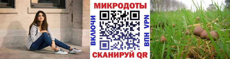 Галлюциногенные грибы Cubensis Благодарный